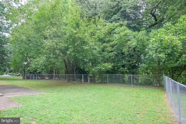 a view of a backyard with a trees