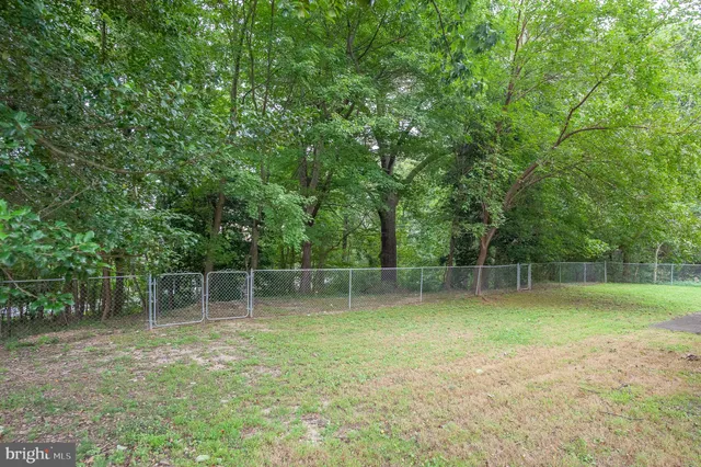 a view of a backyard with a trees