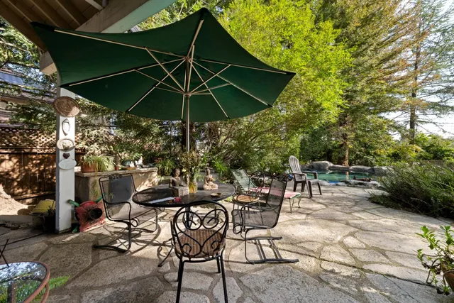 a view of a tree in a yard