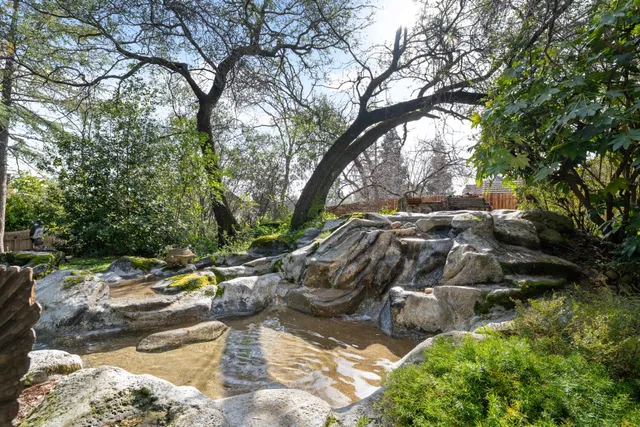 a backyard of a house with lots of green space
