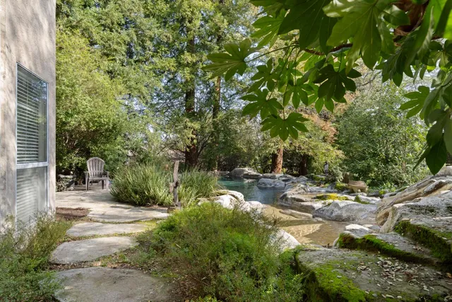 a view of a forest filled with trees