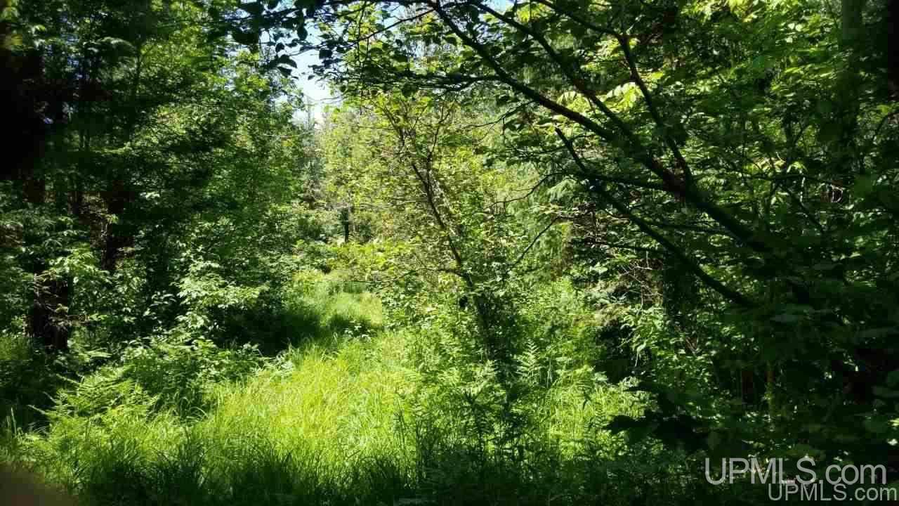 Tbd Parks Farm Road, Unit LOT #2 4 29 ACRES Iron River, MI 49935 - Photo 6 of 12