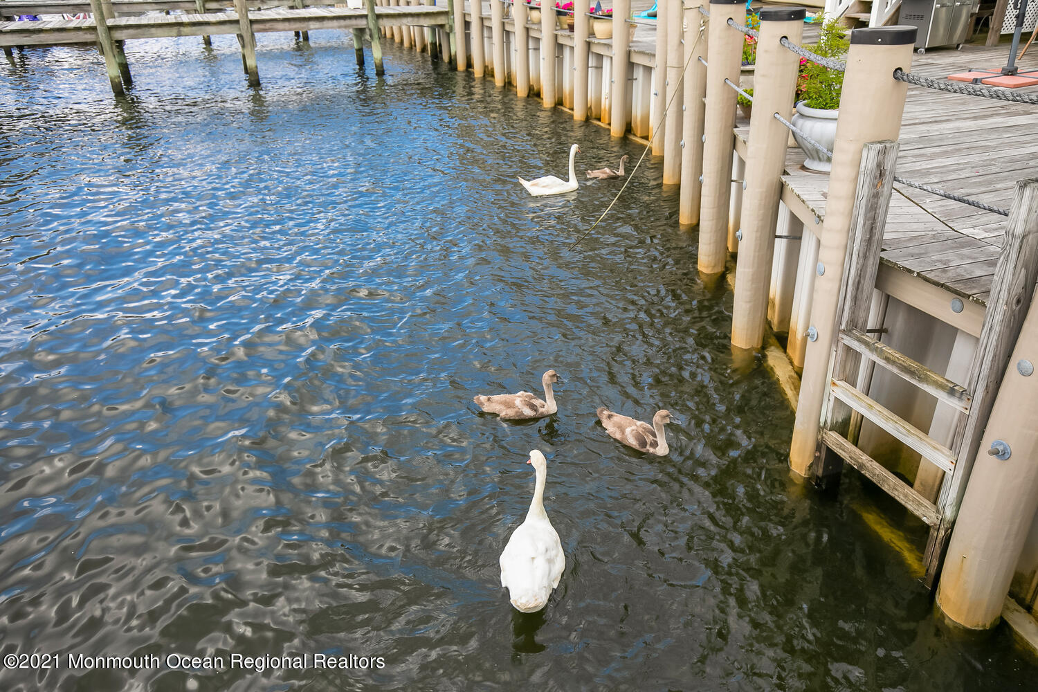 1332 Ocean Avenue, Unit 5R Sea Bright, NJ 07760 - Photo 35 of 40 a backyard of a house