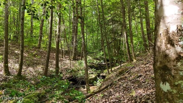 9607 Barbee Road Soddy-Daisy, TN 37379 - Photo 8 of 22