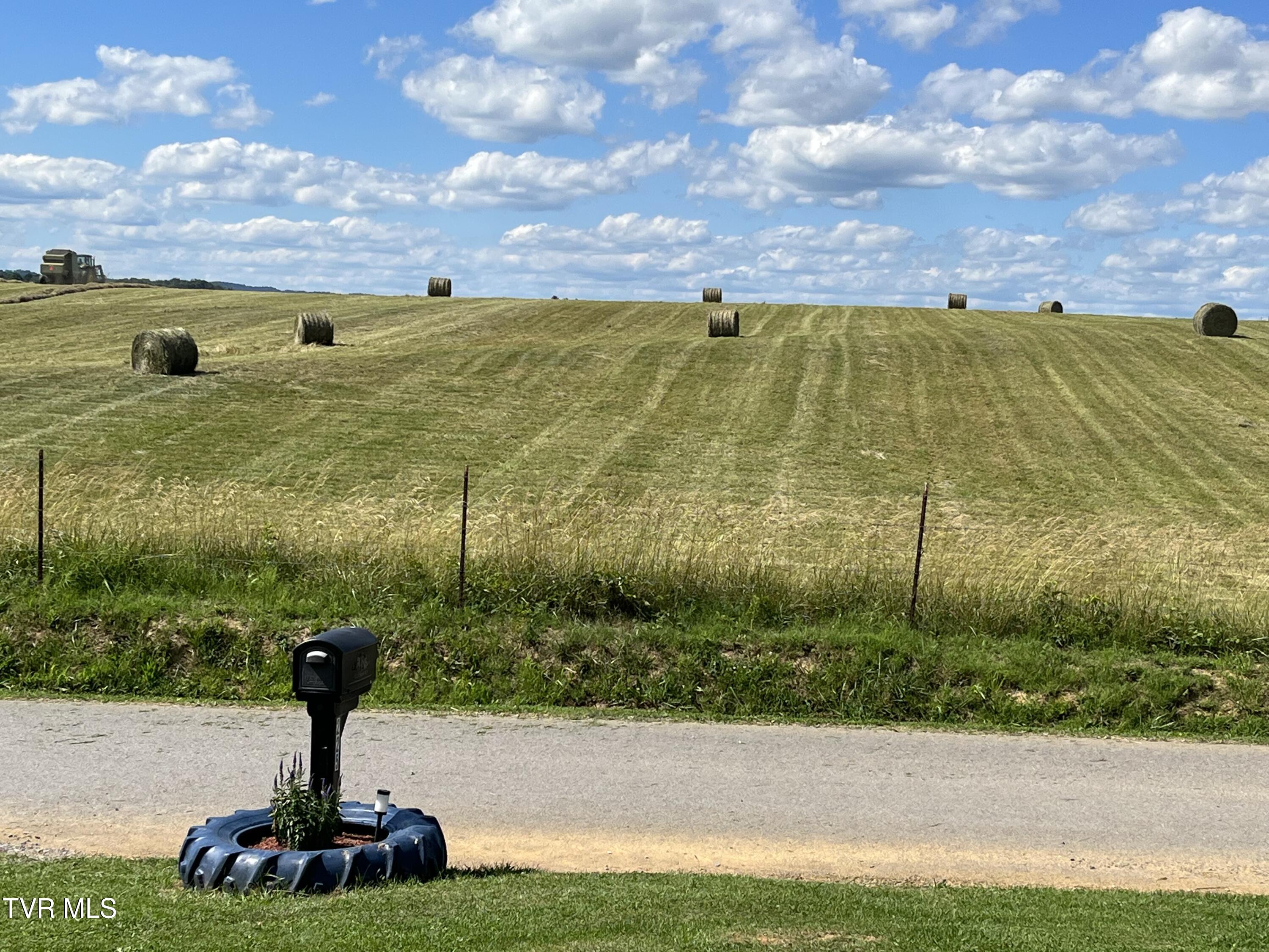 225 Shaw Road Chuckey, TN 37641 - Photo 31 of 47 IMG_0401