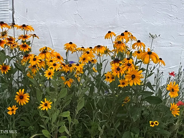 $179,900 | 225 Shaw Road, Chuckey, TN 37641