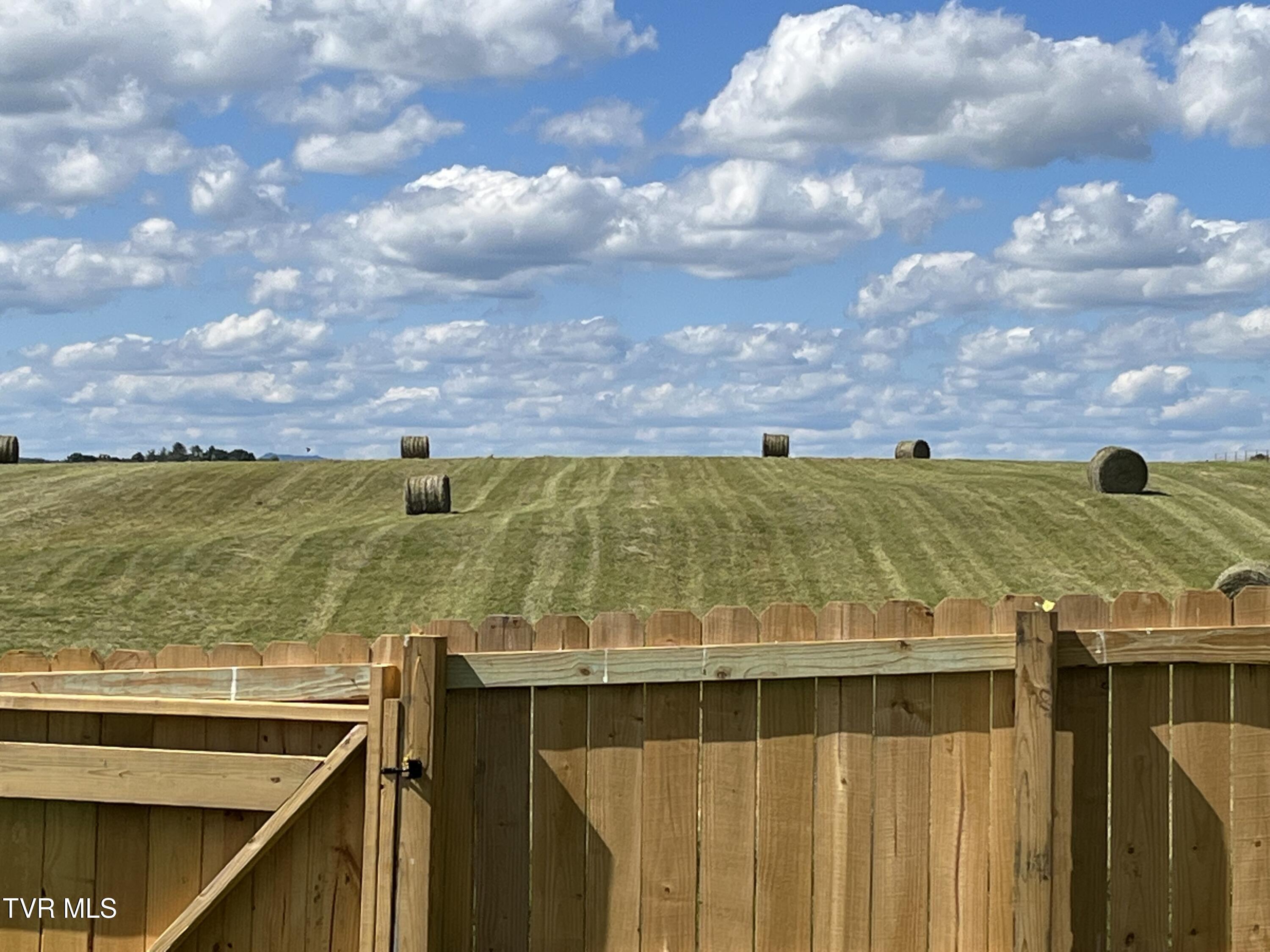 225 Shaw Road Chuckey, TN 37641 - Photo 34 of 51 IMG_0399