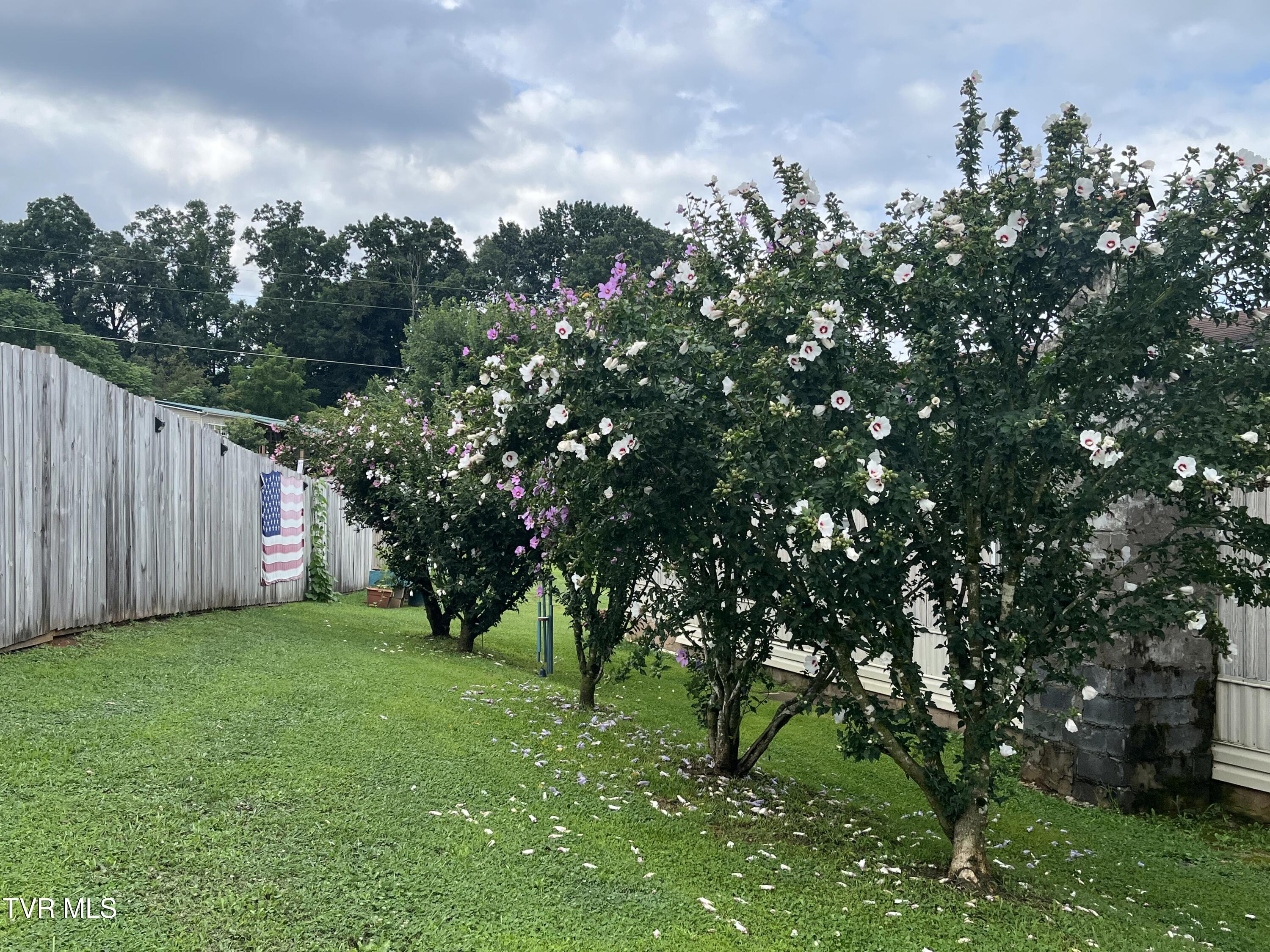 225 Shaw Road Chuckey, TN 37641 - Photo 35 of 47 IMG_0716