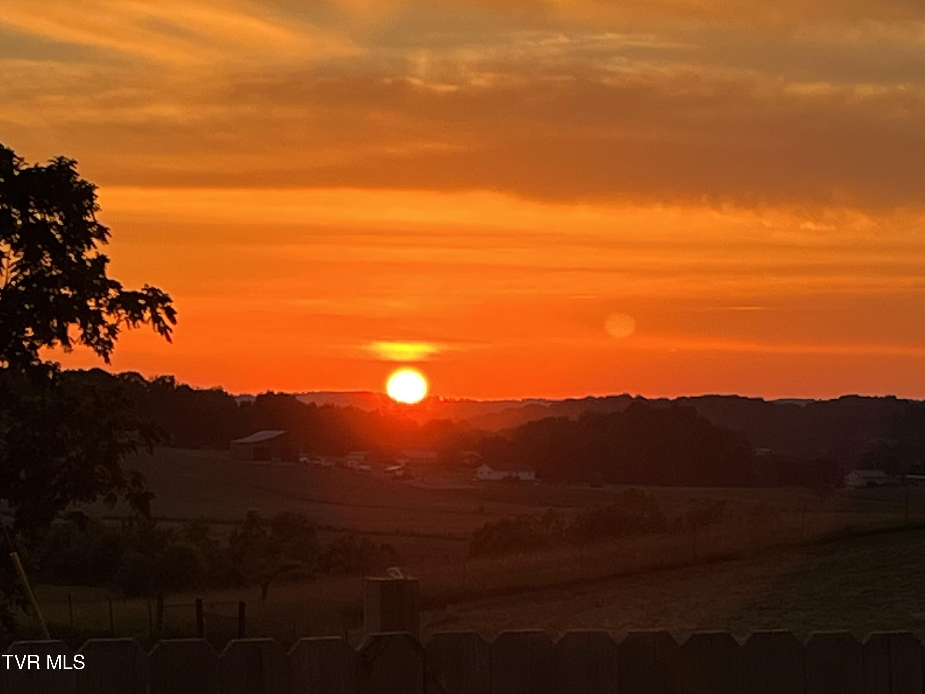 225 Shaw Road Chuckey, TN 37641 - Photo 36 of 51 IMG_0423