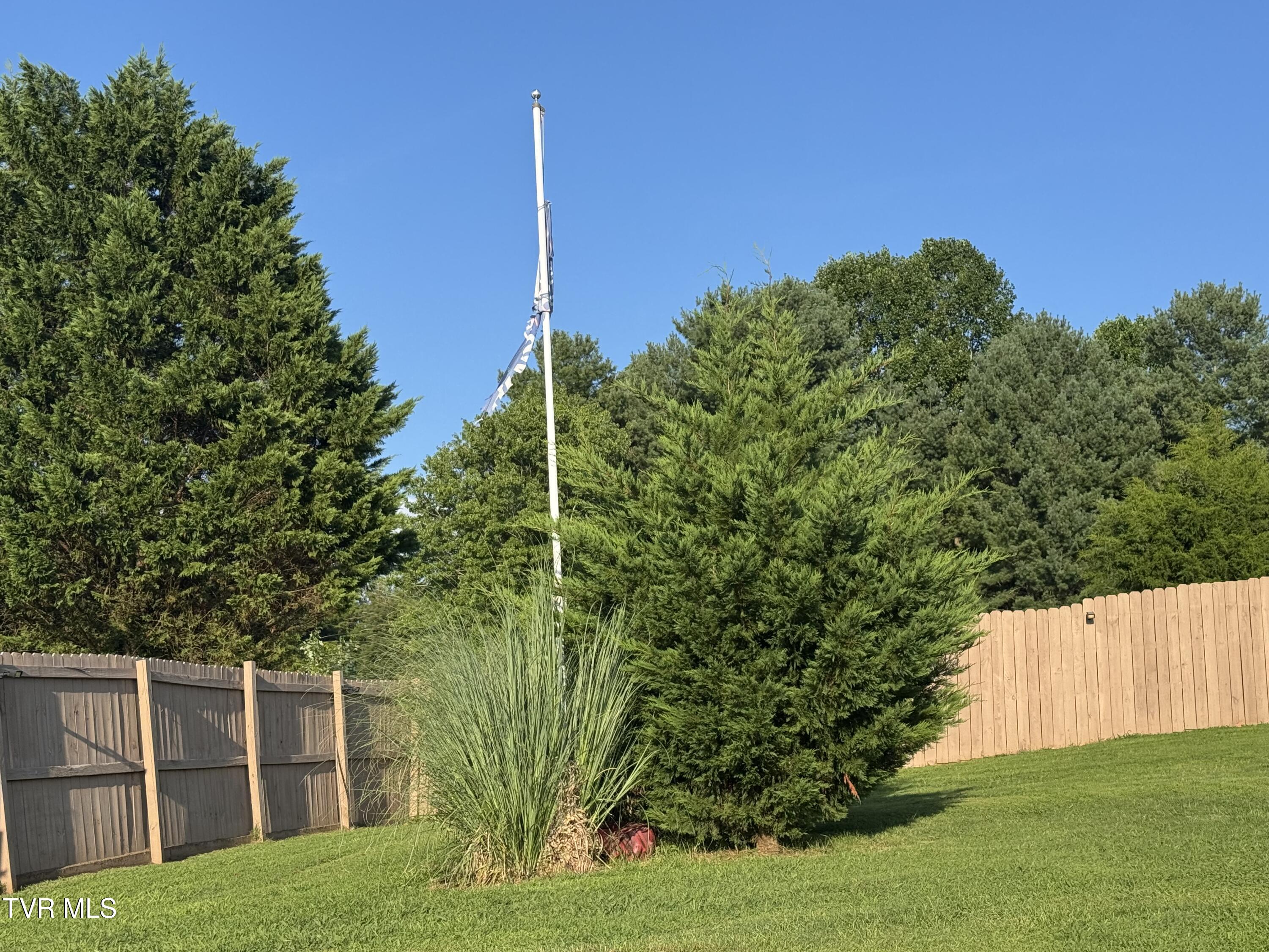 225 Shaw Road Chuckey, TN 37641 - Photo 38 of 47 IMG_1641