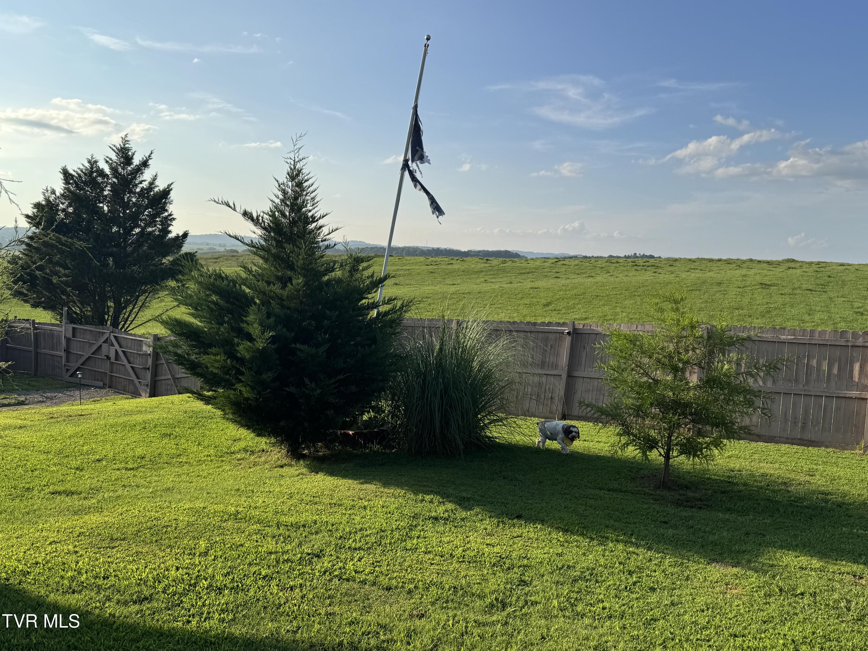 225 Shaw Road Chuckey, TN 37641 - Photo 39 of 47 IMG_1644