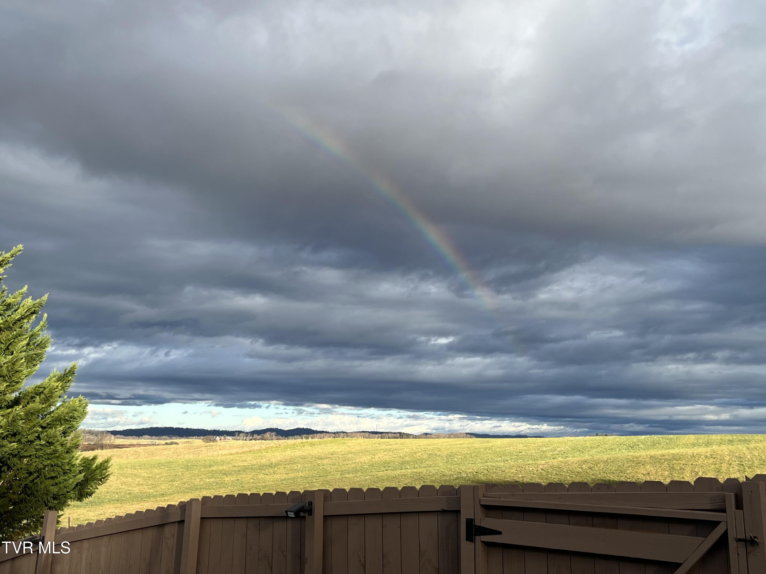 225 Shaw Road Chuckey, TN 37641 - Photo 43 of 47 IMG_1837