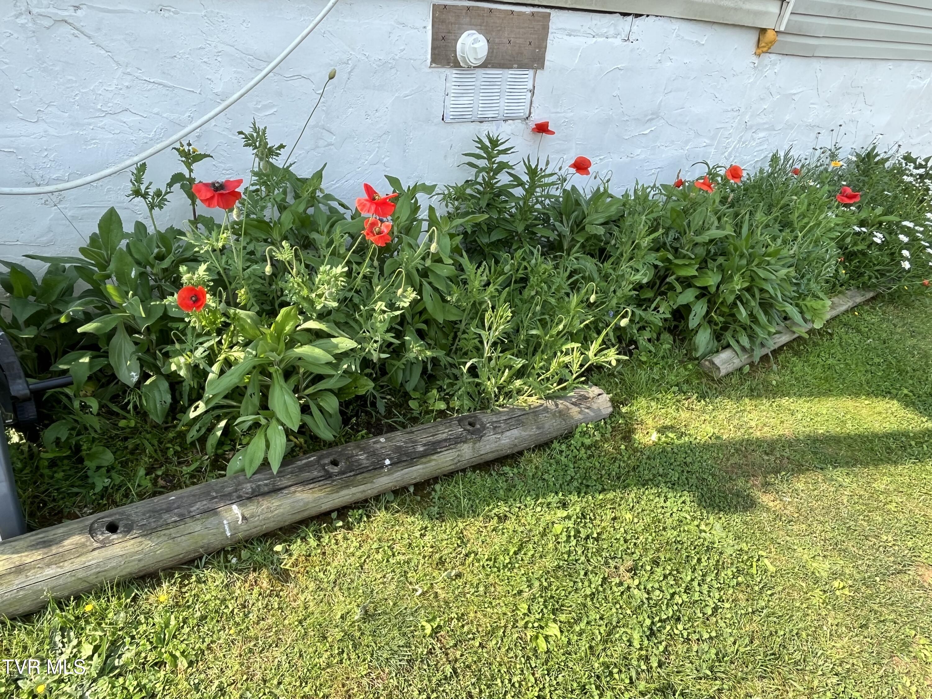 225 Shaw Road Chuckey, TN 37641 - Photo 44 of 47 IMG_2198