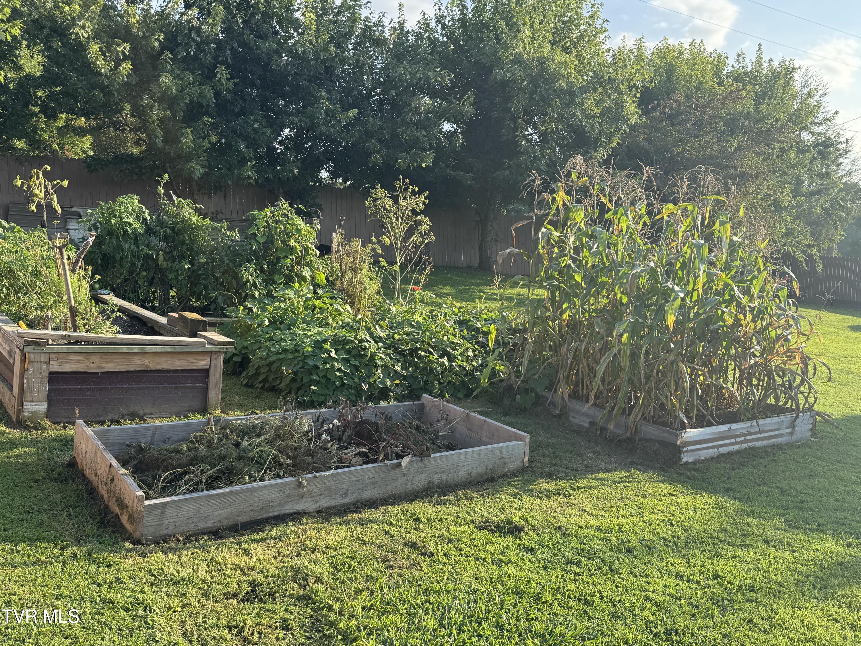 225 Shaw Road Chuckey, TN 37641 - Photo 45 of 51 IMG_1654