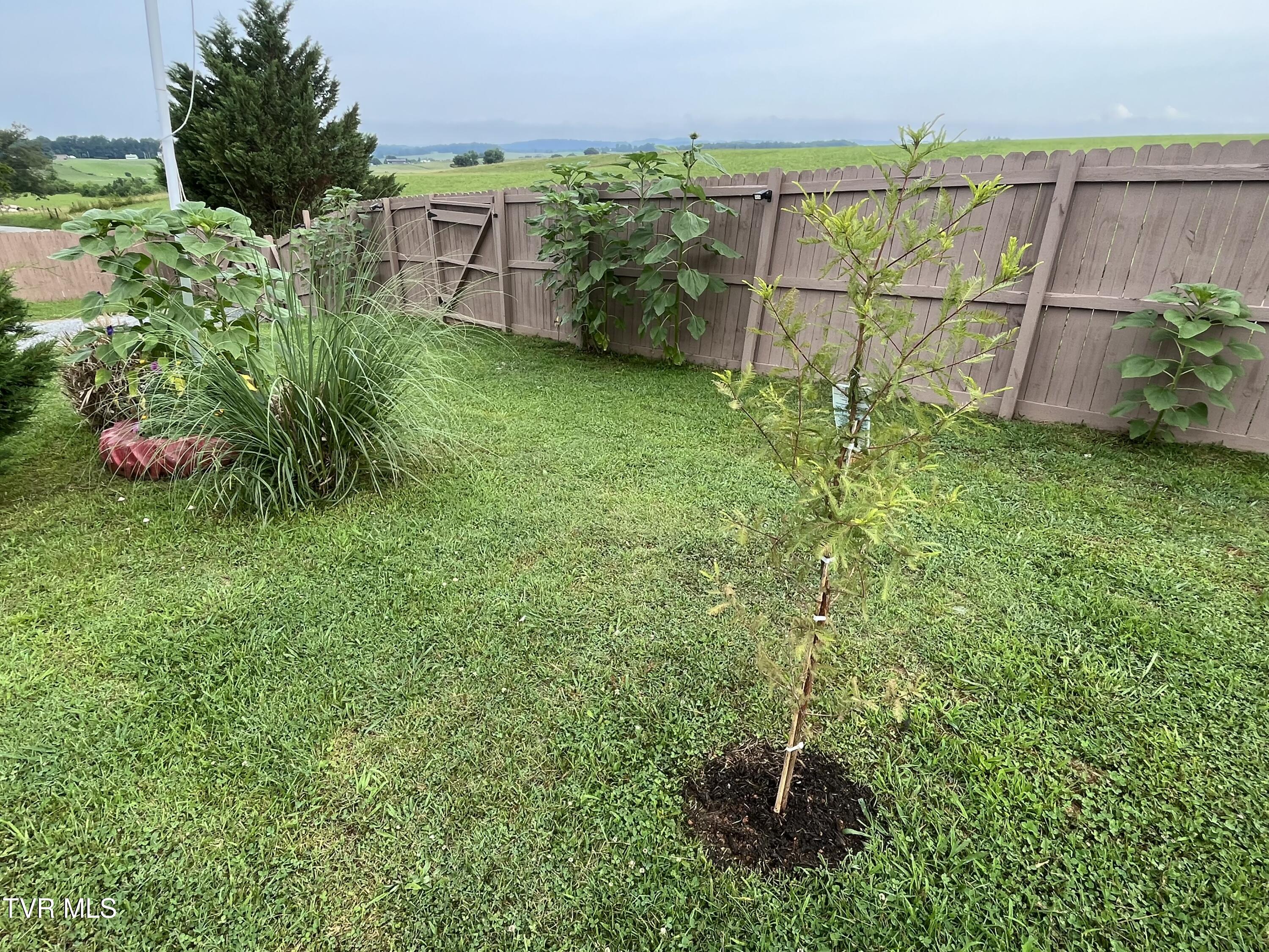 225 Shaw Road Chuckey, TN 37641 - Photo 46 of 47 IMG_2243