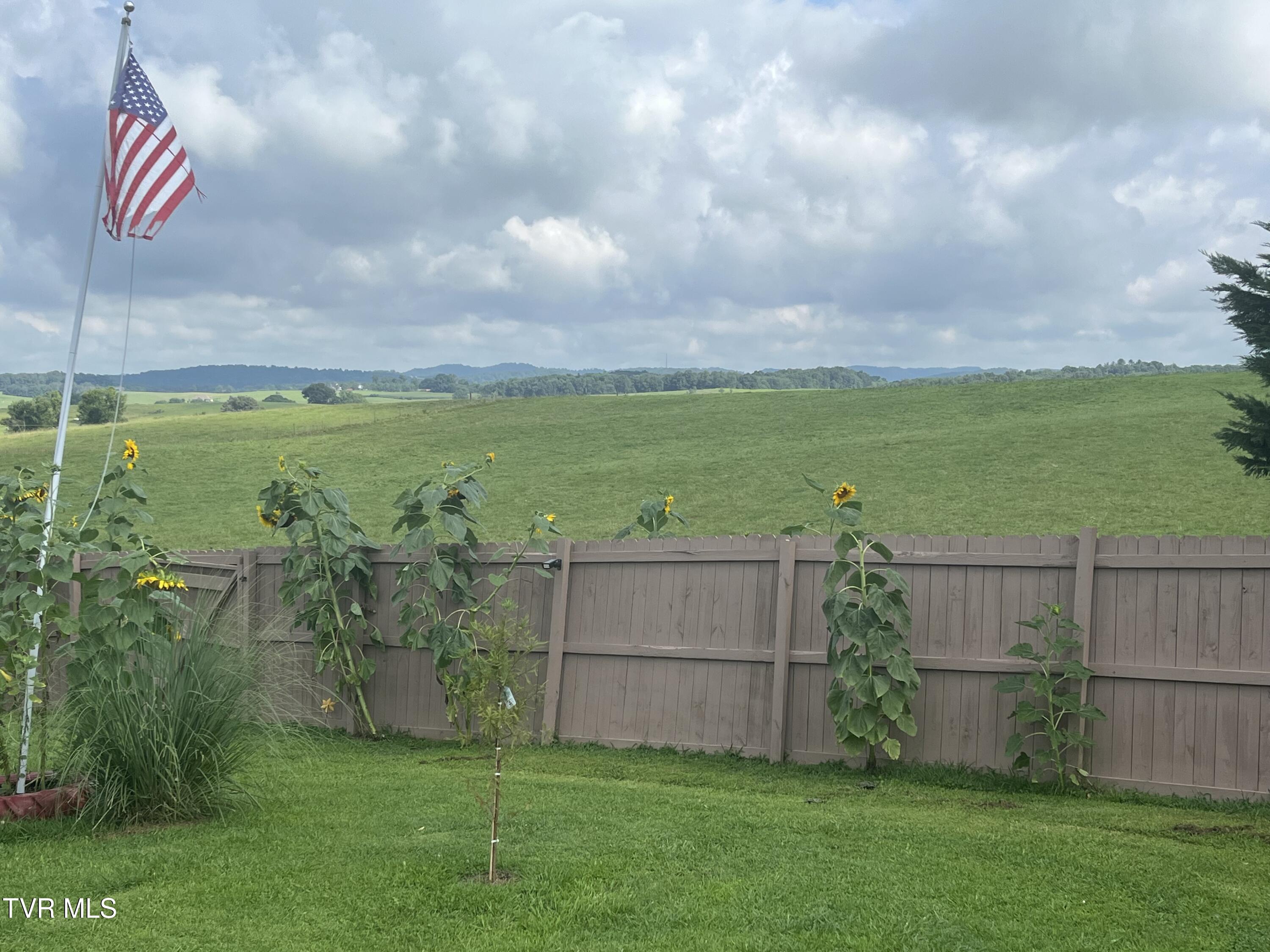 225 Shaw Road Chuckey, TN 37641 - Photo 51 of 51 IMG_2351