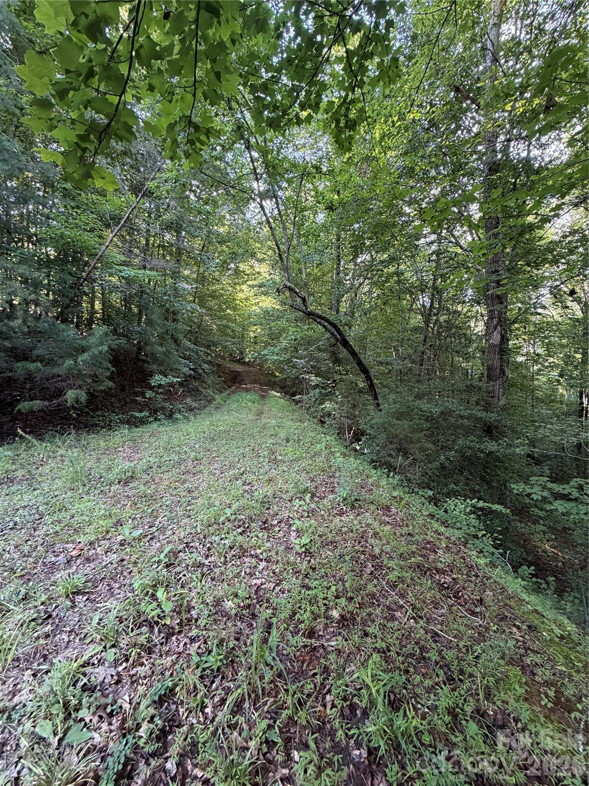 0 Greenhill Farms Drive, Unit 15 Rutherfordton, NC 28139 - Photo 7 of 10