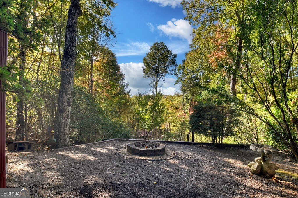 240 Lower Prince Mountain Road Cherry Log, GA 30522 - Photo 3 of 45