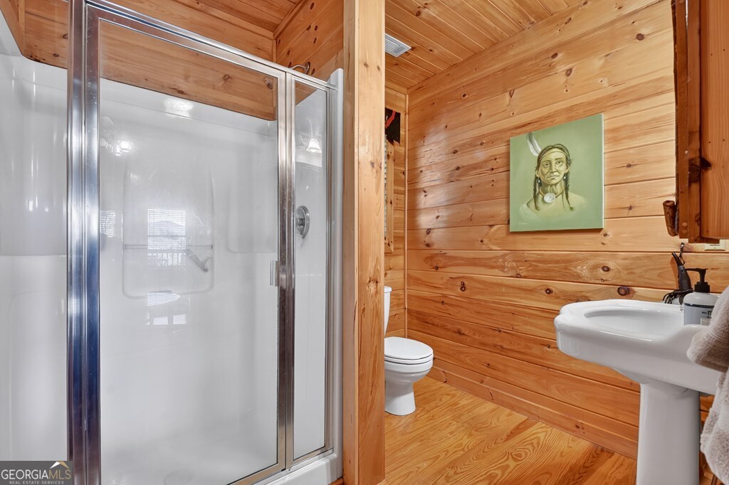 240 Lower Prince Mountain Road Cherry Log, GA 30522 - Photo 33 of 45