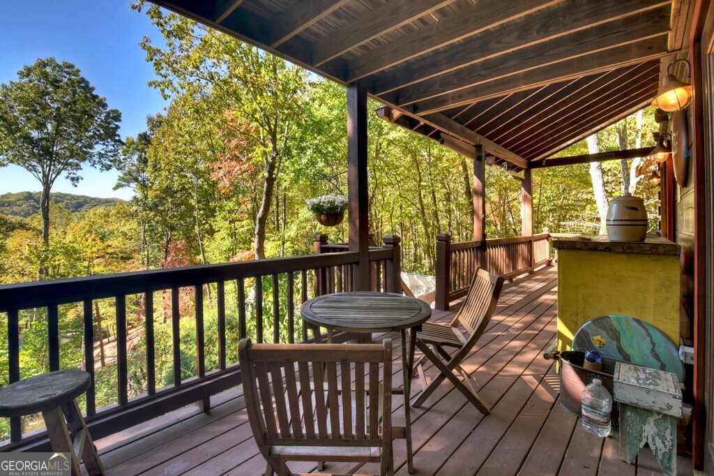 240 Lower Prince Mountain Road Cherry Log, GA 30522 - Photo 37 of 45