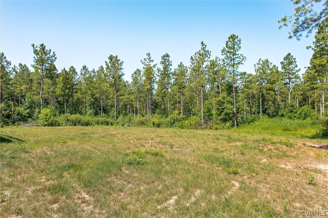 1227 Deep Run Road Cartersville, VA 23027 - Photo 25 of 27 Gallery Image 25