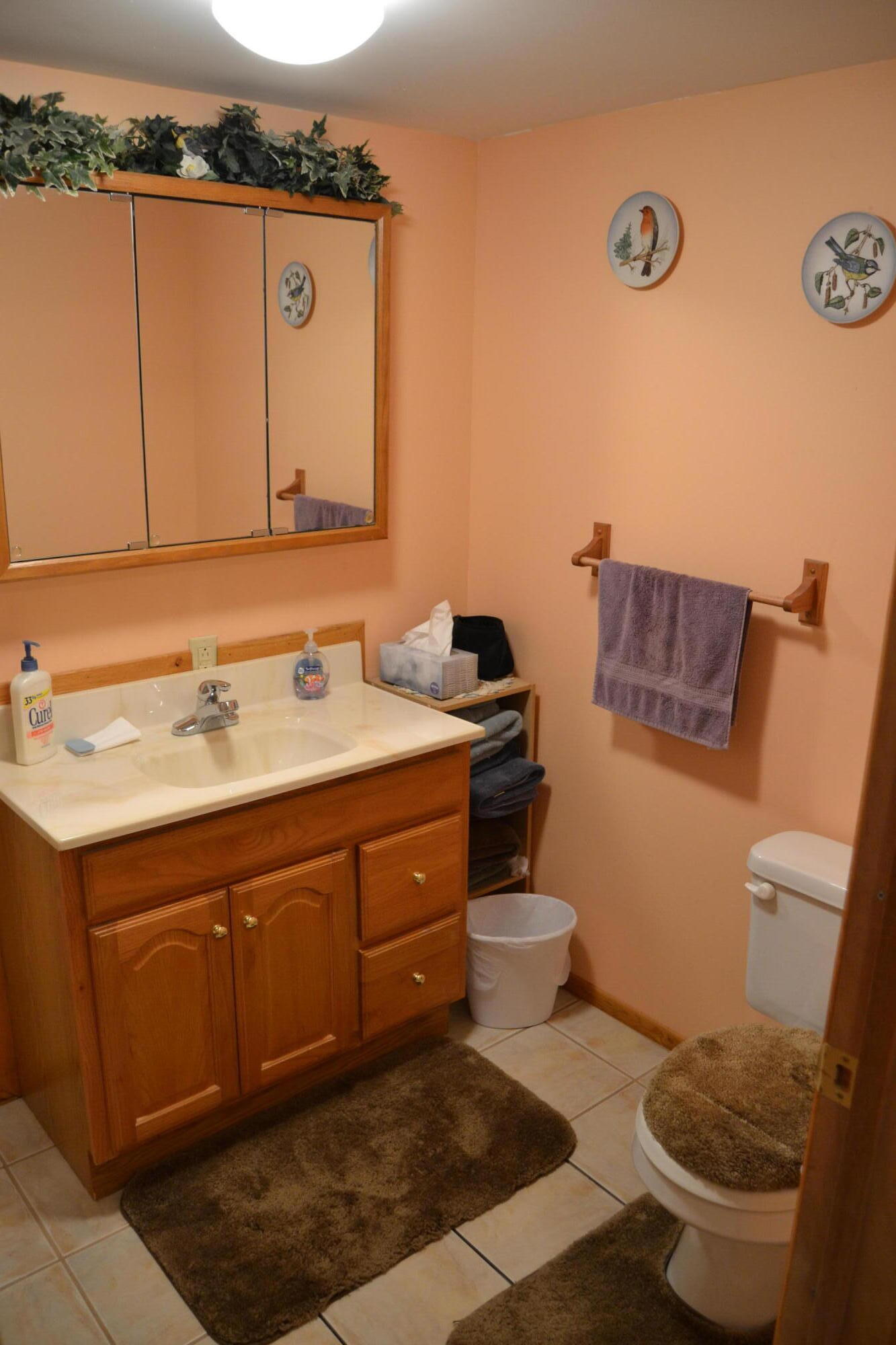 4792 Myrtle Road Reed City, MI 49677 - Photo 21 of 51 DSC_0940
