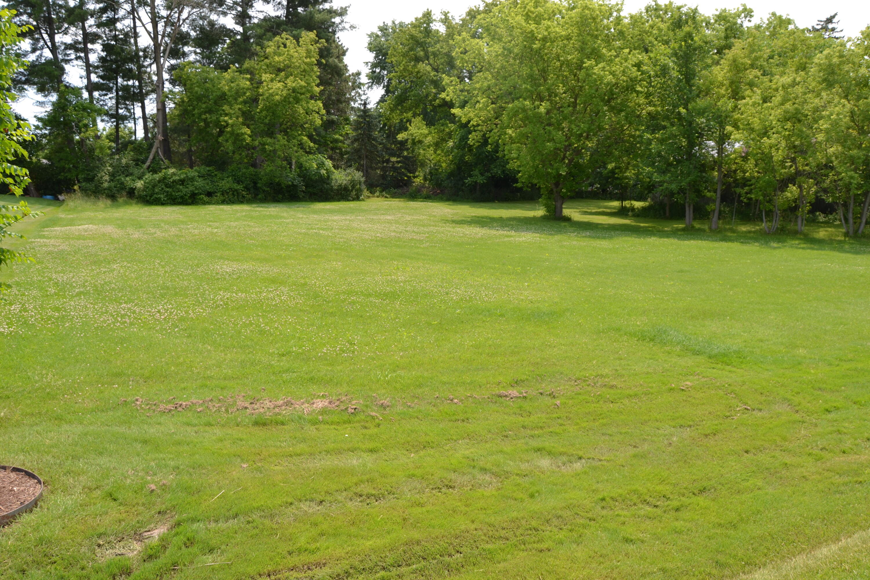 4792 Myrtle Road Reed City, MI 49677 - Photo 47 of 51 DSC_0987