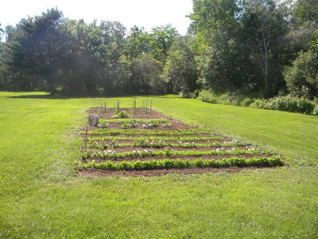 1170 Mullen Road Stetson, ME 04488 - Photo 14 of 19 lots of areas for gardening