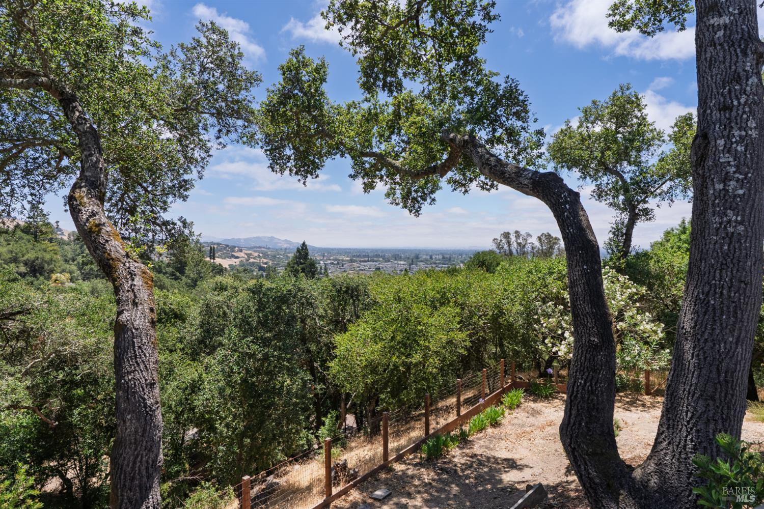 1385 Wikiup Drive Santa Rosa, CA 95403 - Photo 46 of 49