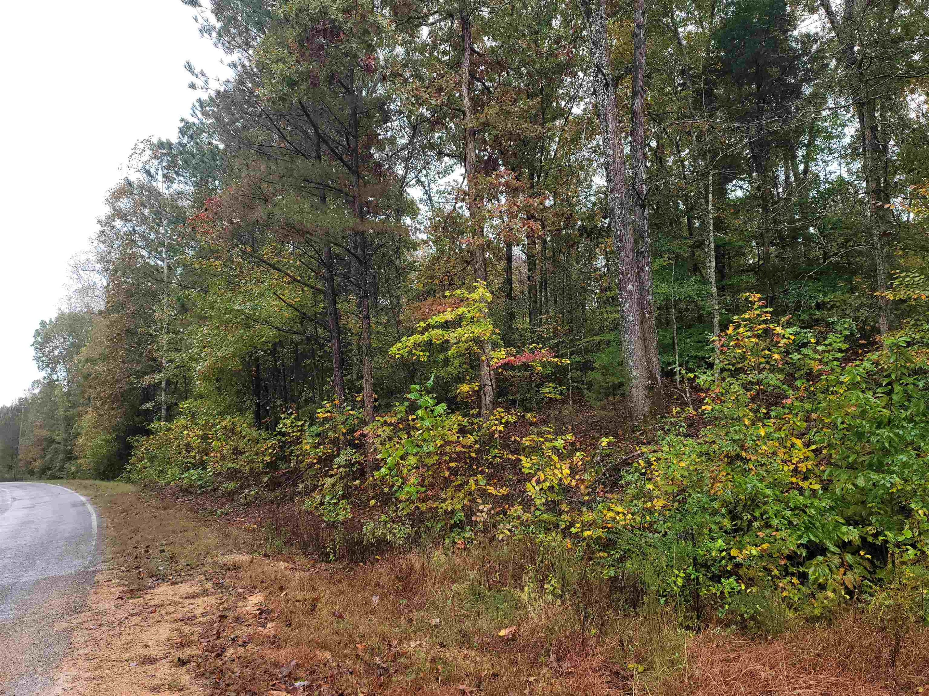 0 Corinth Road Lexington, TN 38351 - Photo 1 of 3 Photo 1