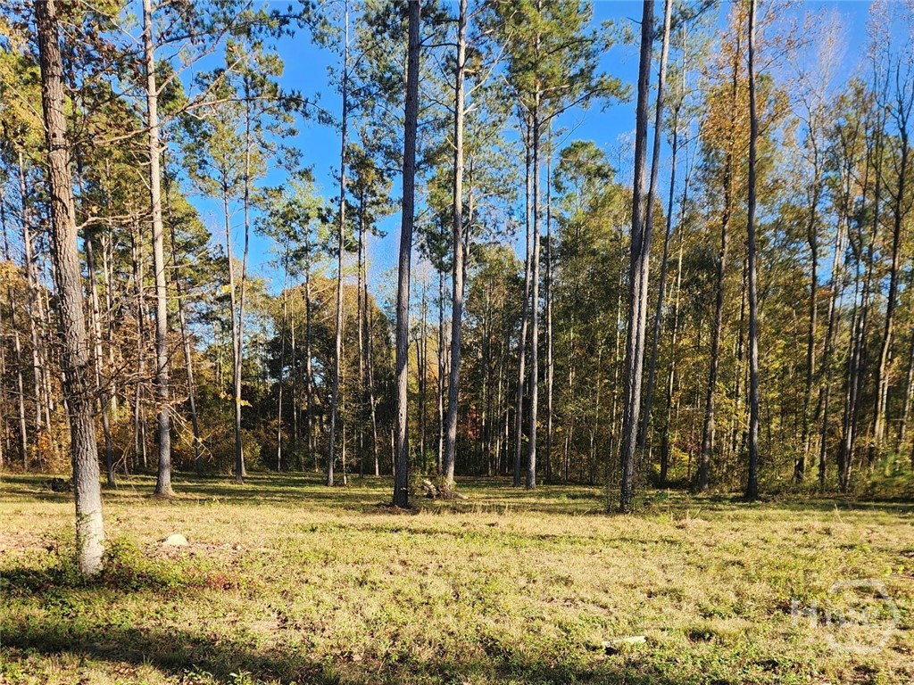 3 Drake Woods Road McRae-Helena, GA 31037 - Photo 1 of 11 Gallery Image 1