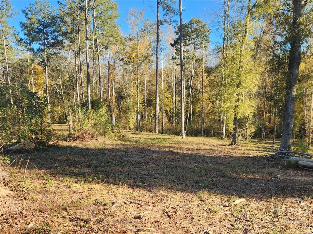 3 Drake Woods Road McRae-Helena, GA 31037 - Photo 2 of 11 Gallery Image 2