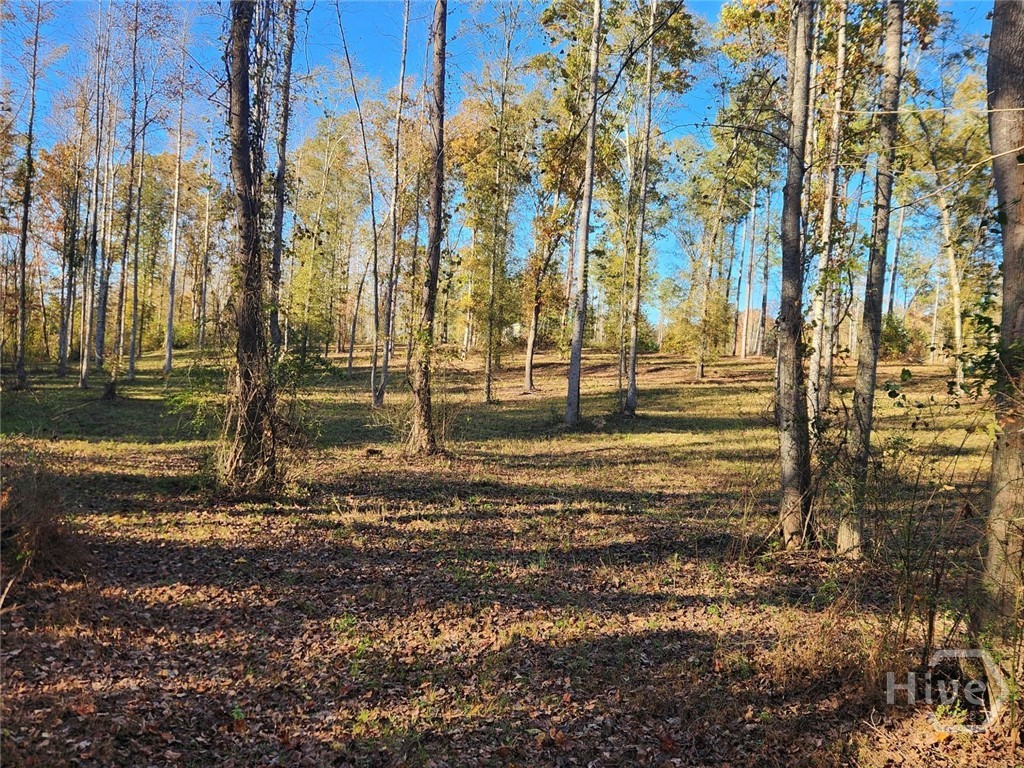 3 Drake Woods Road McRae-Helena, GA 31037 - Photo 3 of 11 Gallery Image 3