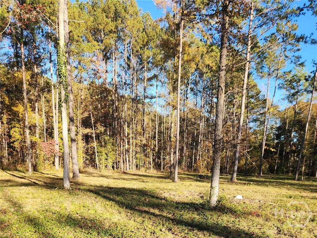 3 Drake Woods Road McRae-Helena, GA 31037 - Photo 6 of 11 Gallery Image 6