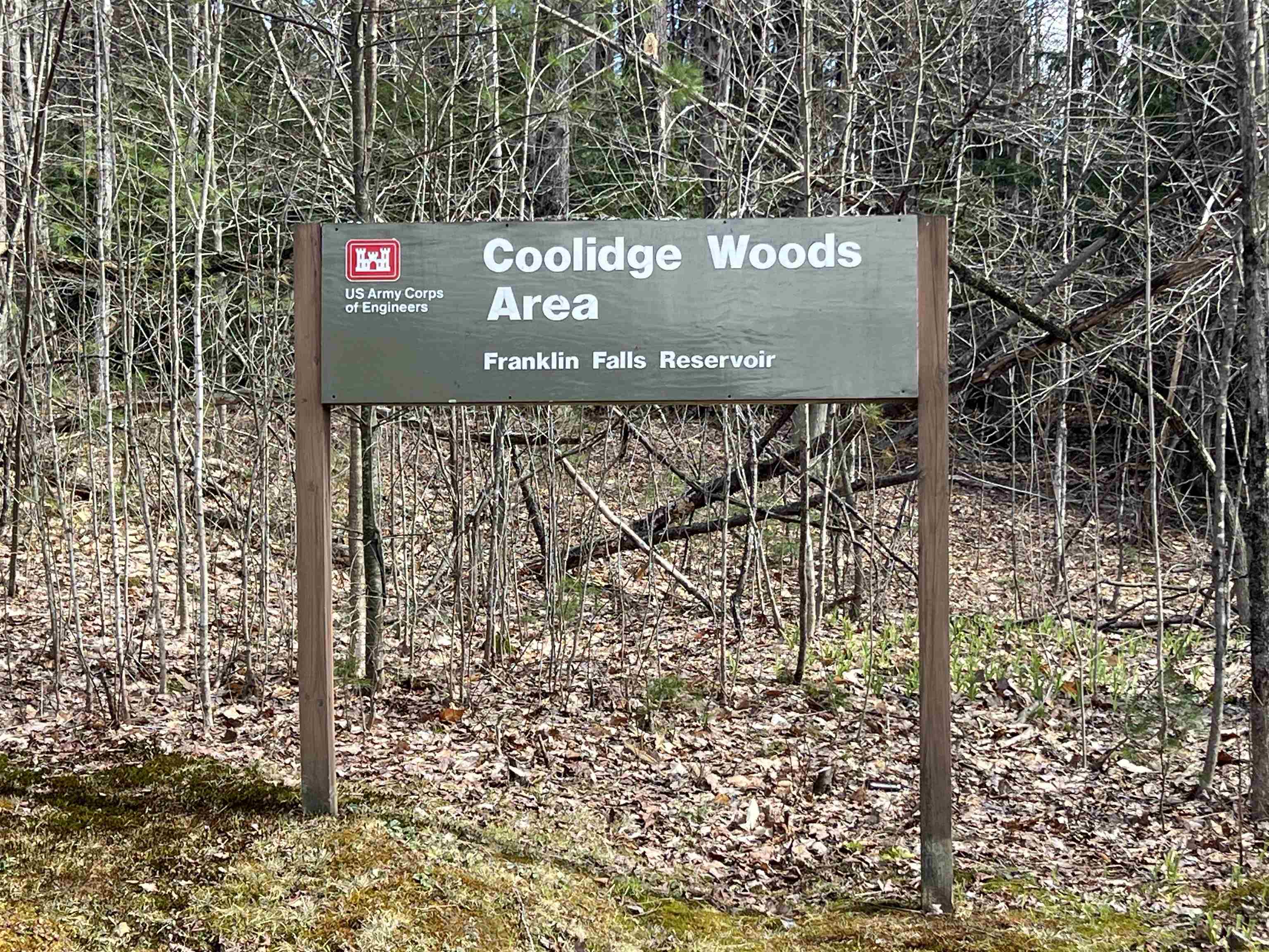 0 Coolidge Woods Road New Hampton, NH 03256 - Photo 11 of 19