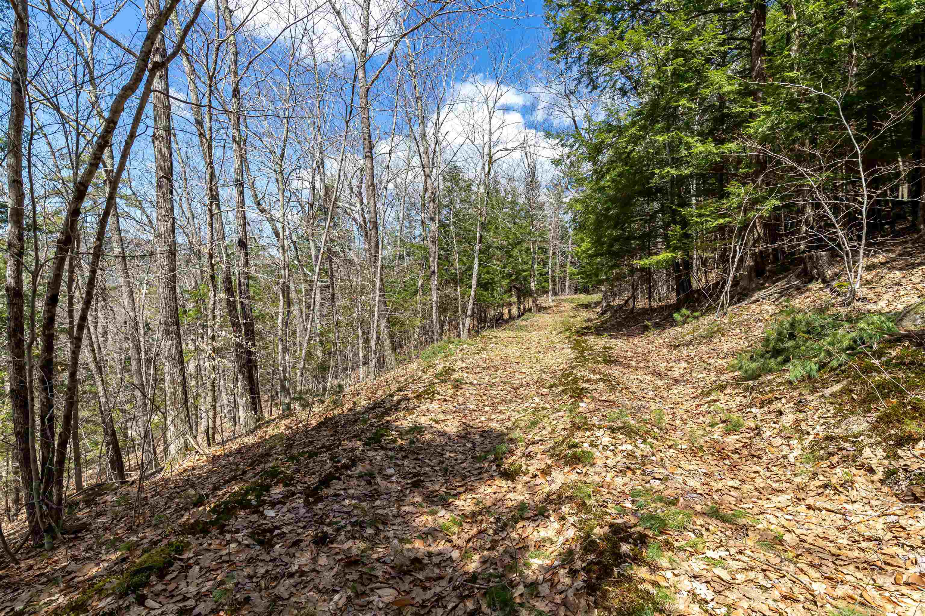 0 Coolidge Woods Road New Hampton, NH 03256 - Photo 12 of 19