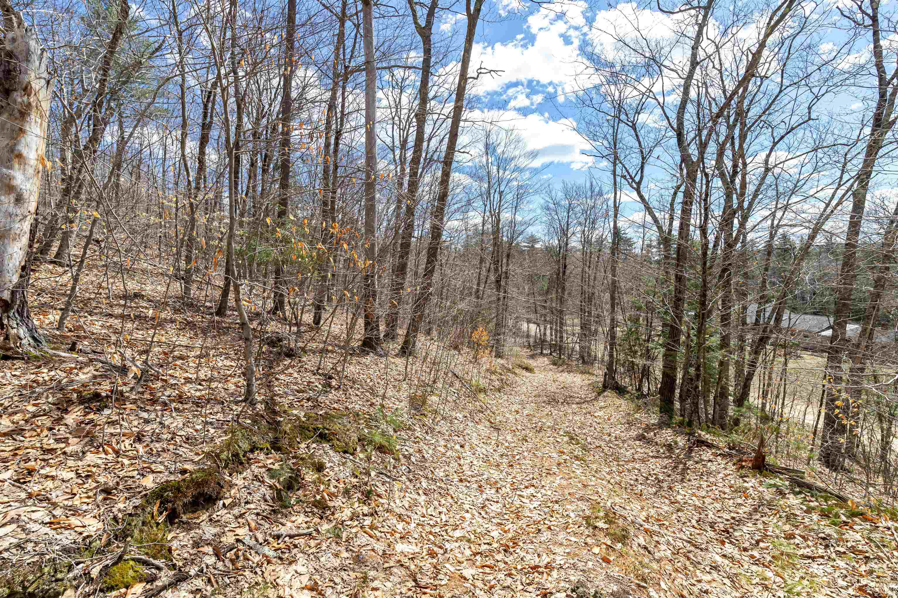 0 Coolidge Woods Road New Hampton, NH 03256 - Photo 13 of 19