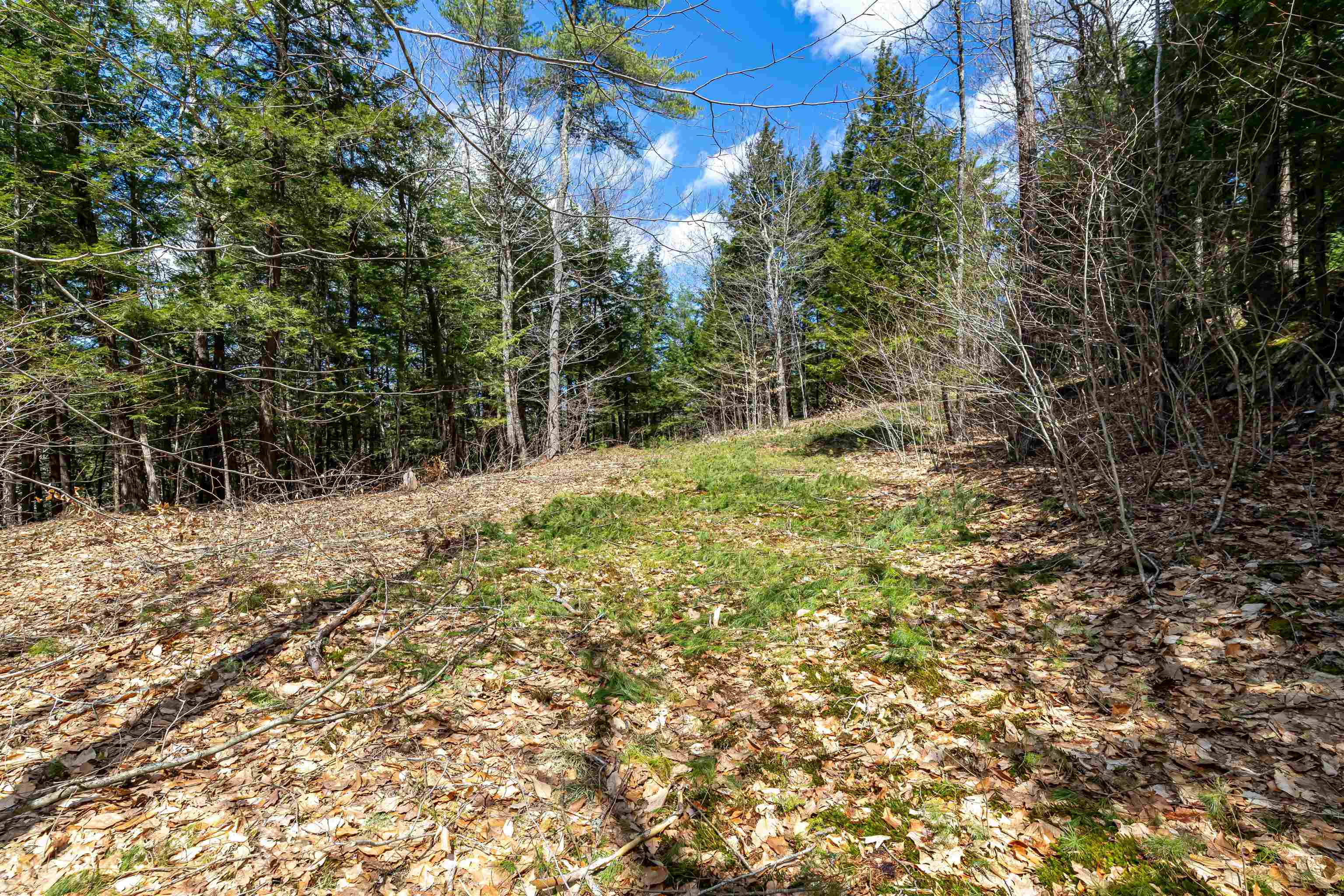 0 Coolidge Woods Road New Hampton, NH 03256 - Photo 14 of 19