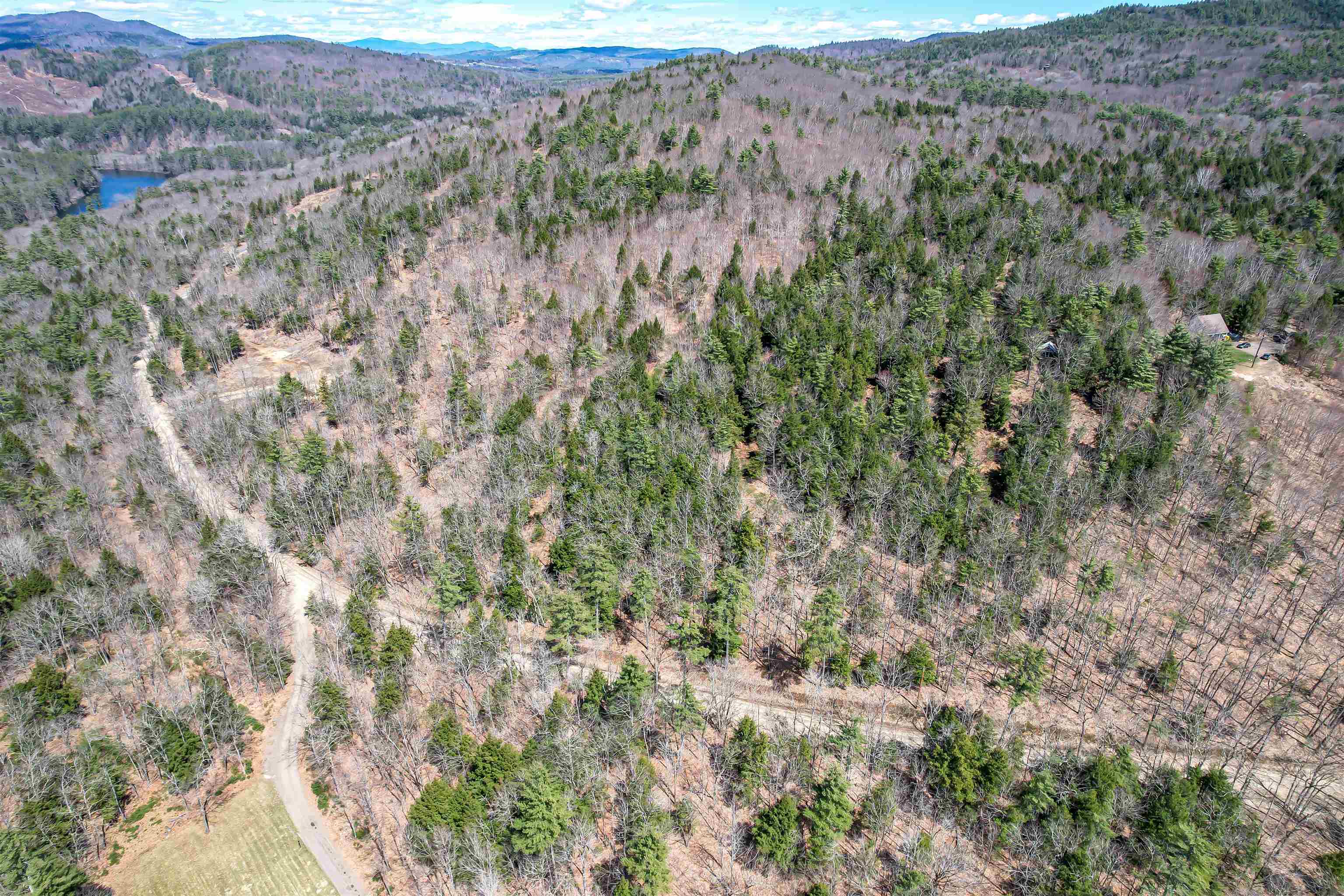 0 Coolidge Woods Road New Hampton, NH 03256 - Photo 5 of 19
