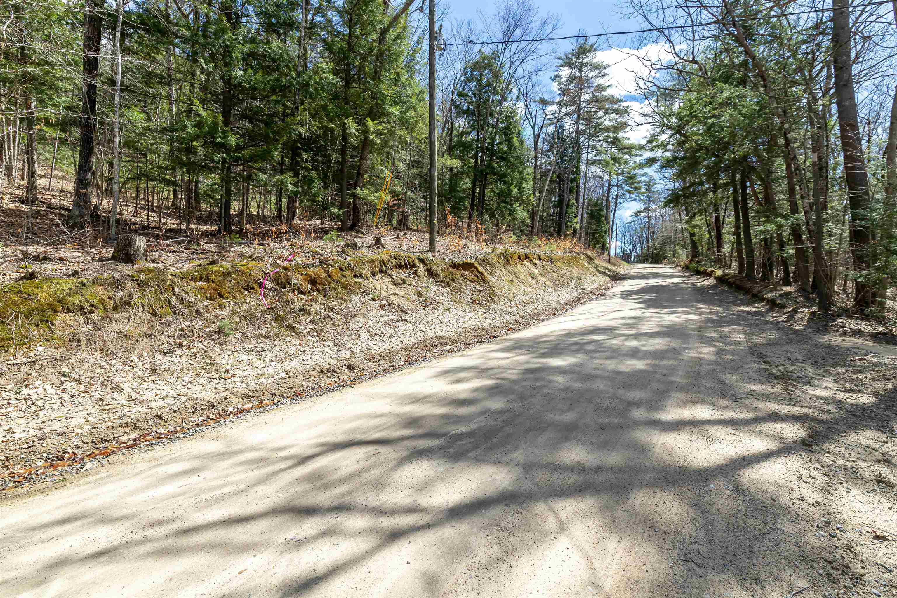 0 Coolidge Woods Road New Hampton, NH 03256 - Photo 6 of 19