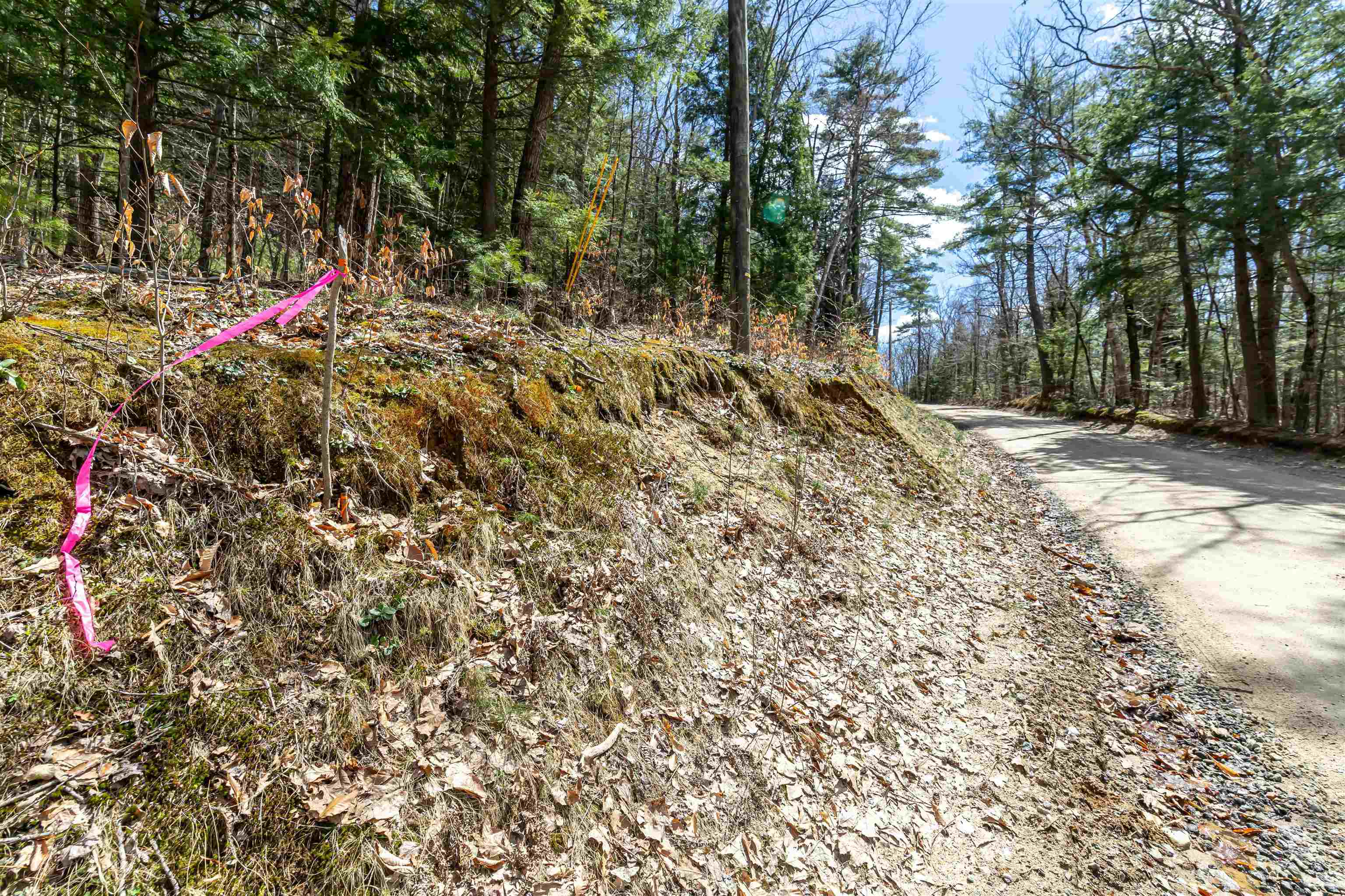 0 Coolidge Woods Road New Hampton, NH 03256 - Photo 7 of 19