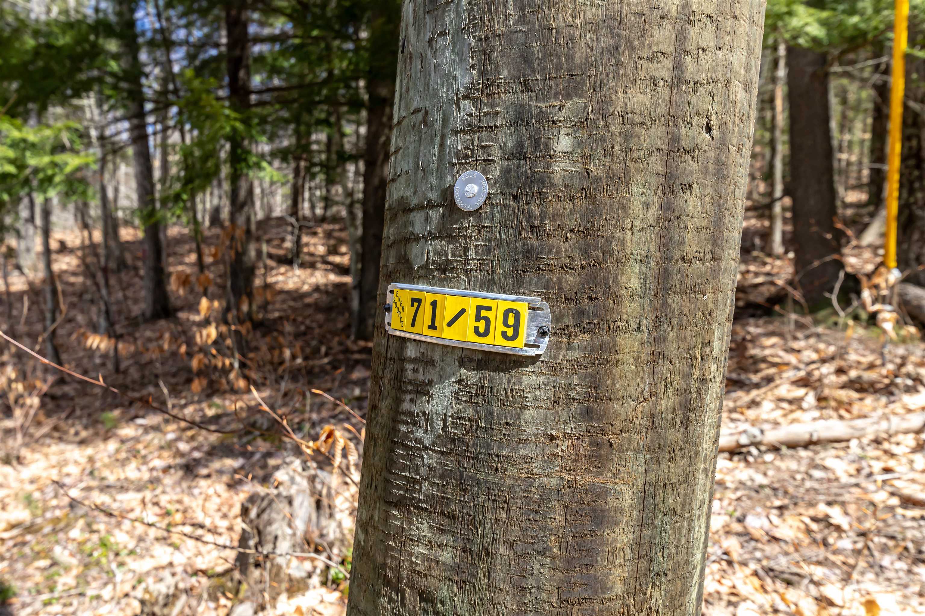 0 Coolidge Woods Road New Hampton, NH 03256 - Photo 8 of 19