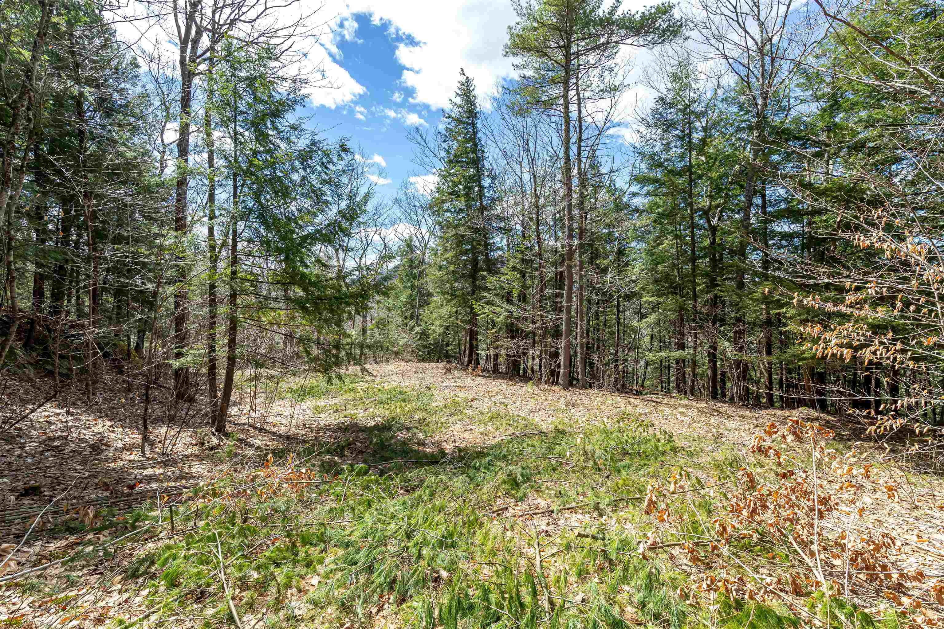 0 Coolidge Woods Road New Hampton, NH 03256 - Photo 10 of 19