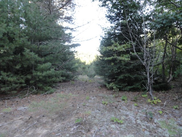 5670 Powers Road Alanson, MI 49706 - Photo 14 of 38 1852708-13.JPG