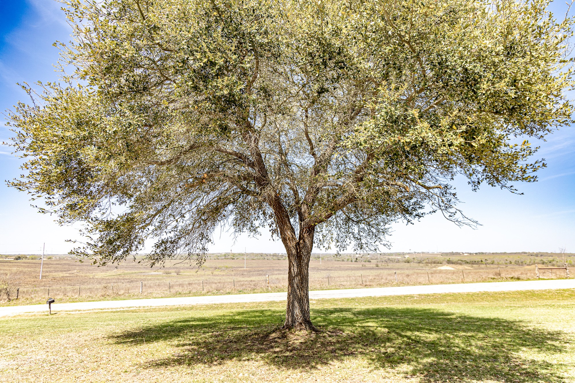 985 County Road 301 Shiner, TX 77984 - Photo 29 of 31