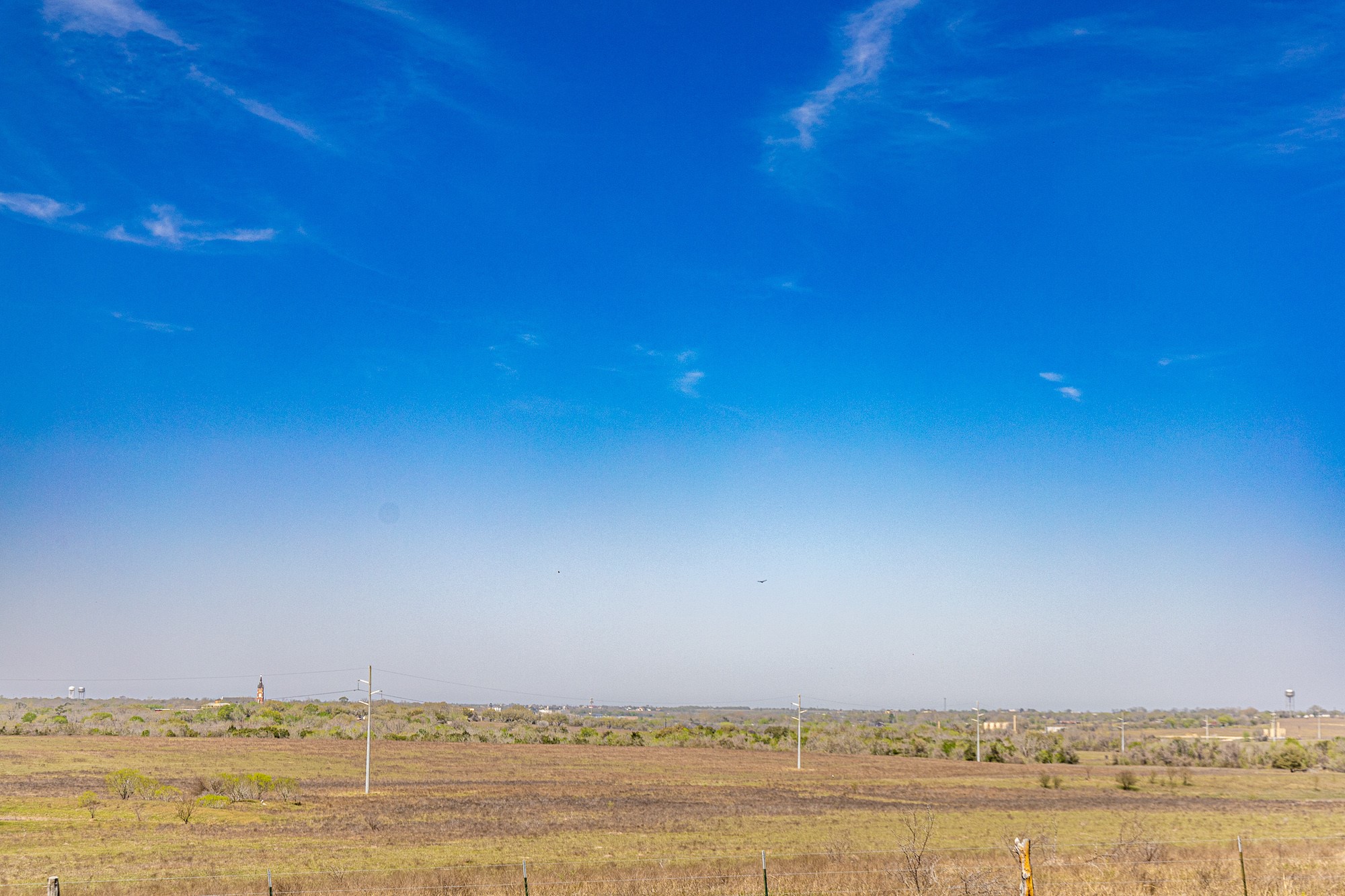 985 County Road 301 Shiner, TX 77984 - Photo 3 of 31