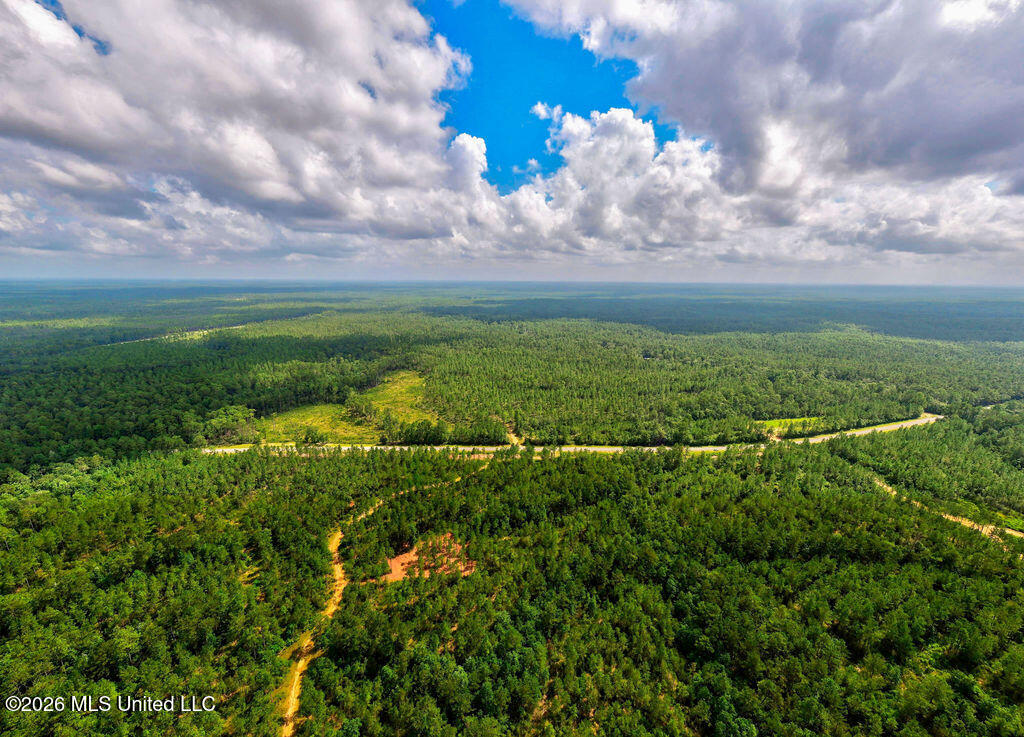 Nhn Lot 2 Nhn Road Saucier, MS 39574 - Photo 12 of 87 HiddenCreekEstates-10