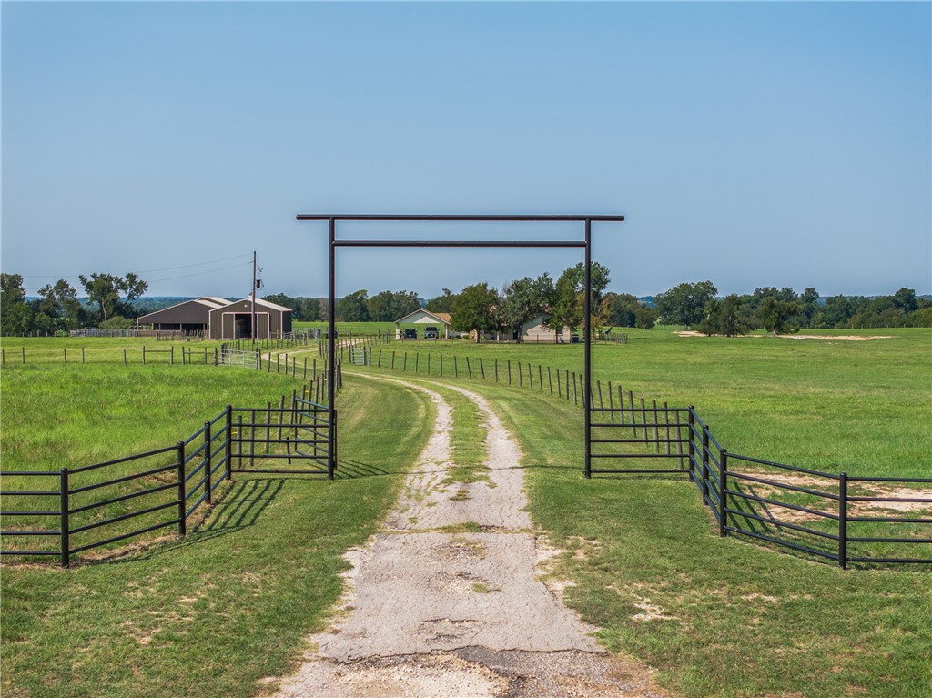 a view of a park with large trees