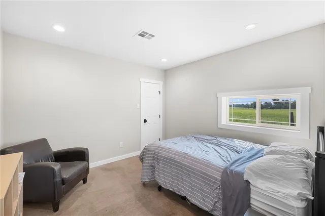 a bedroom with a bed and a couch