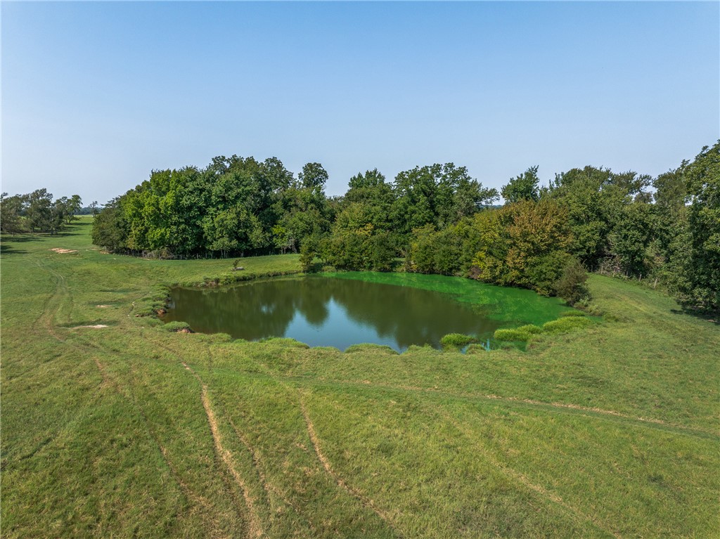 11867 Farm To Market 2159 Calvert, TX 77837 - Photo 36 of 41 a view of a lake with a big yard